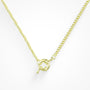 Locked In The Loop Necklace